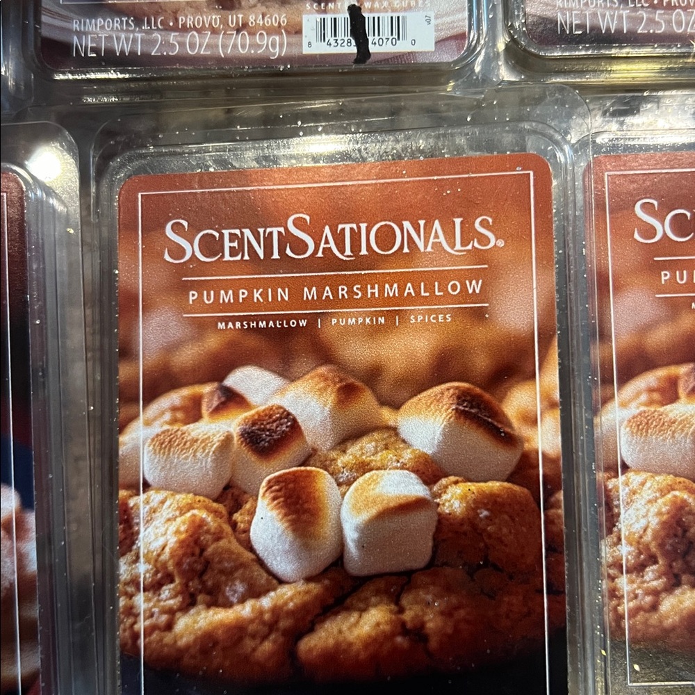 18 New fall scentsationals wax cubes melts pumpkin apple spice cinnamon - Picture 4 of 8